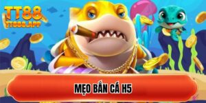 meo-ban-ca-h5